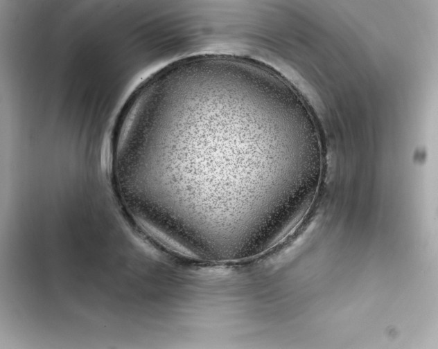 X0000103320838200809192138