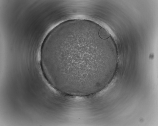 X0000103320839200809192138