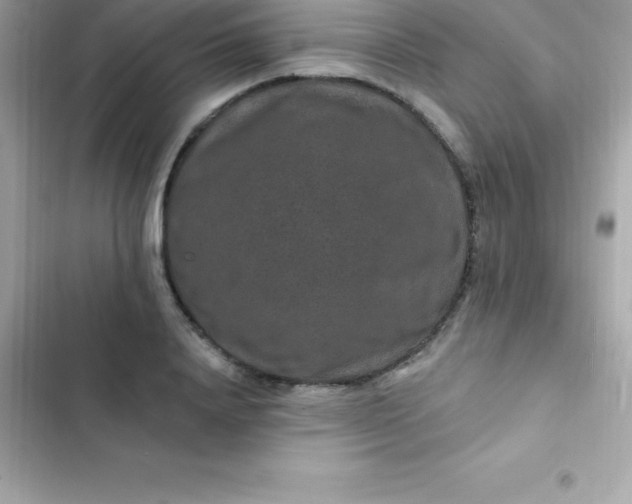 X0000103320840200809192138