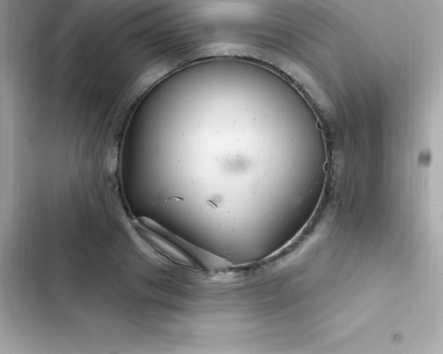 X0000103320841200809192138