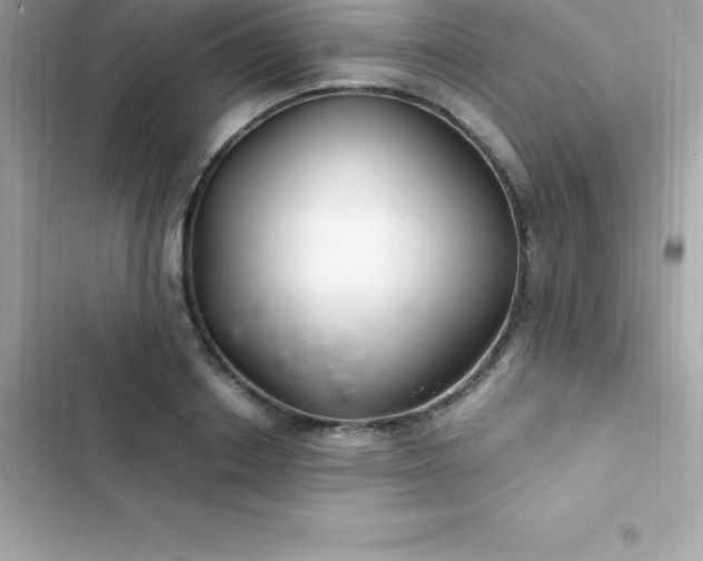 X0000103320842200809192138