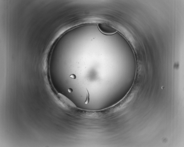 X0000103320843200809192138