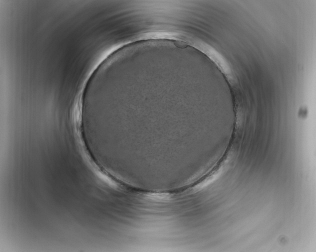 X0000103320844200809192138