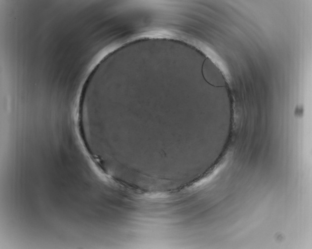 X0000103320845200809192138