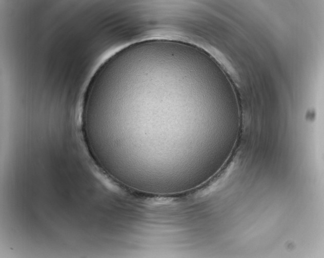 X0000103320846200809192138