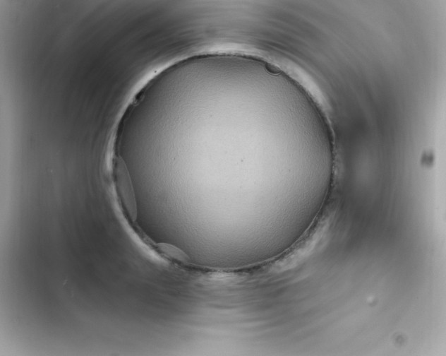 X0000103320847200809192138