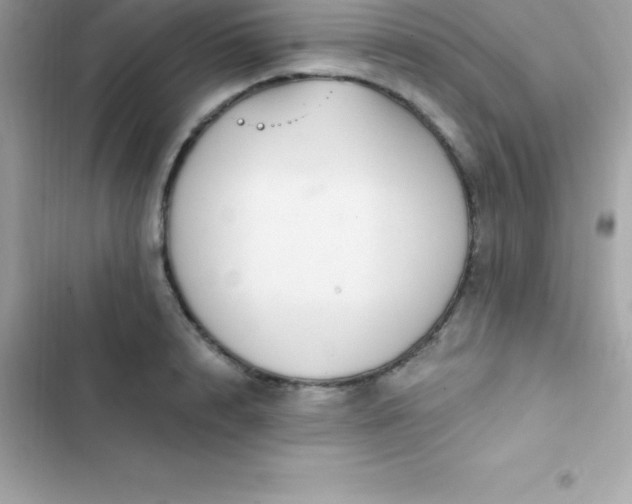 X0000103320848200809192138