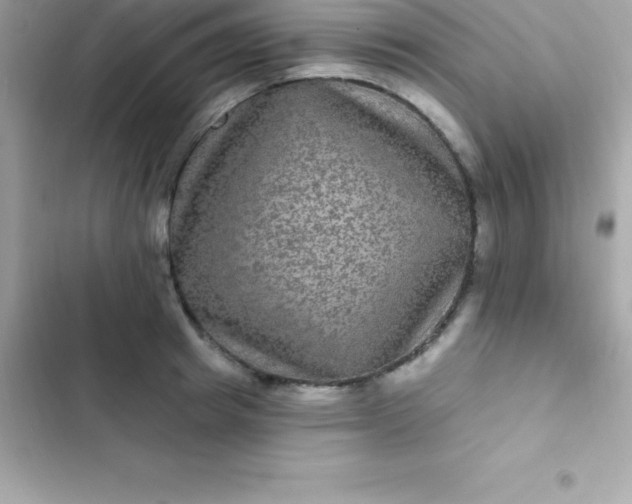 X0000103320849200809192138