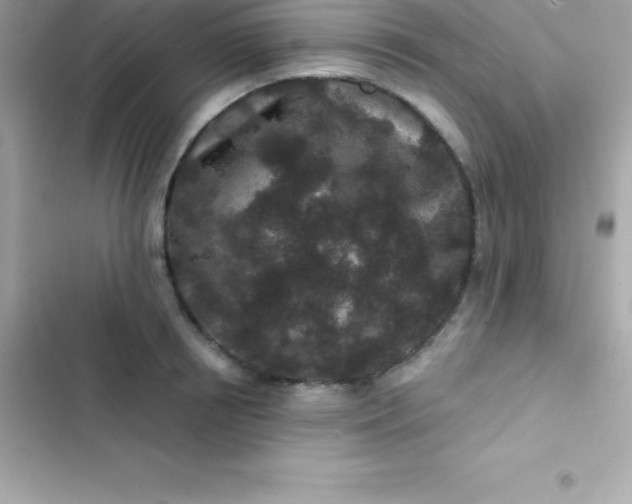 X0000103320850200809192138