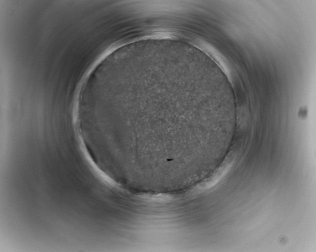 X0000103320851200809192138