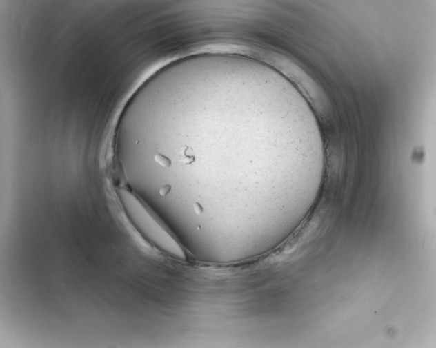 X0000103320852200809192138