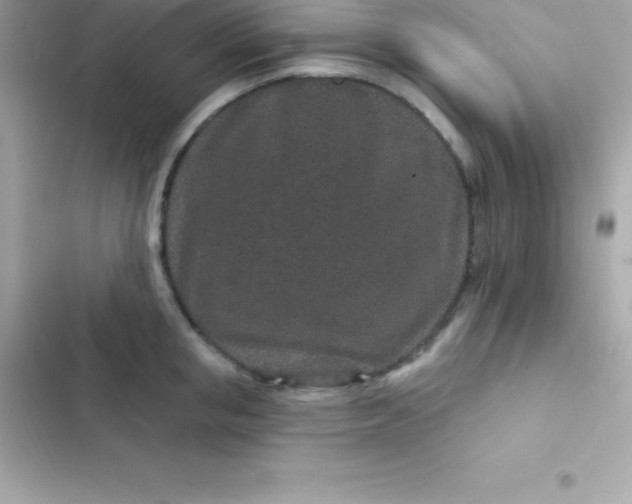 X0000103320853200809192138