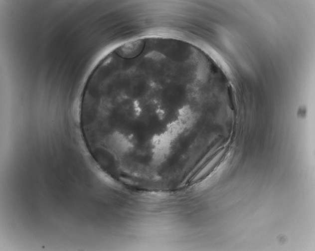 X0000103320854200809192138