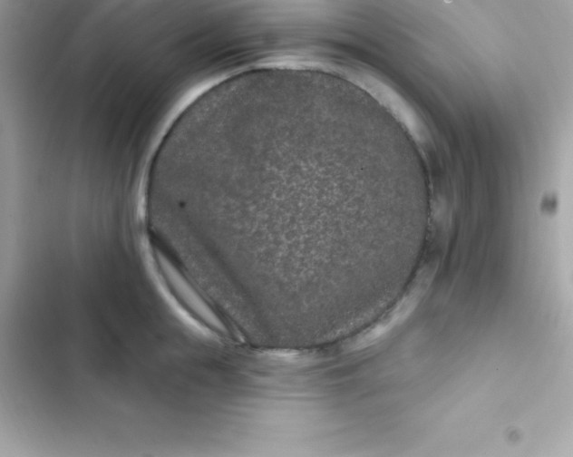 X0000103320855200809192138