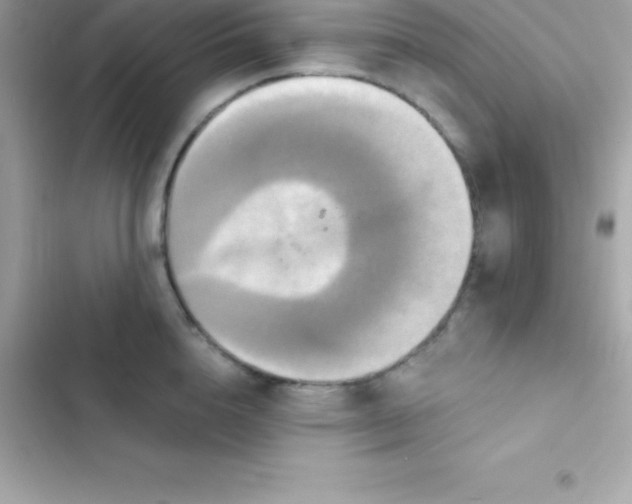 X0000103320856200809192139