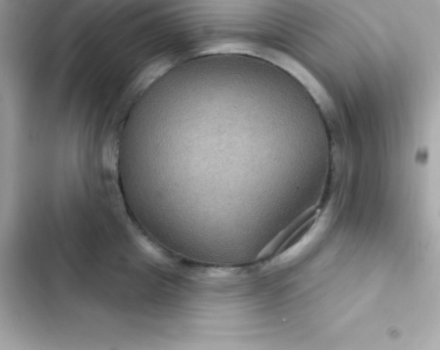 X0000103320857200809192139