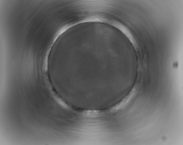 X0000103320858200809192139