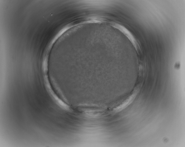 X0000103320859200809192139