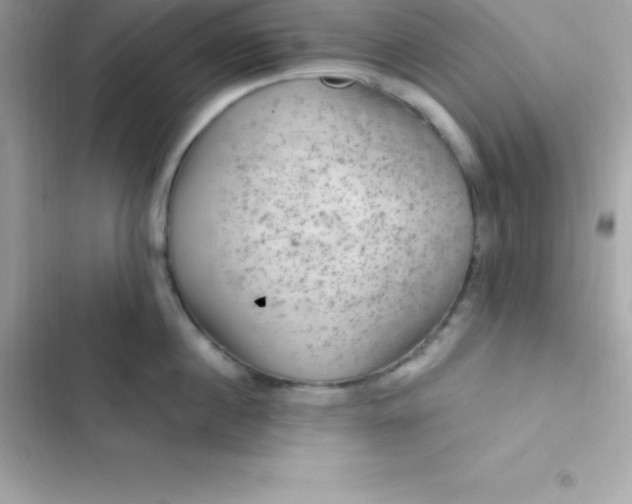 X0000103320860200809192139