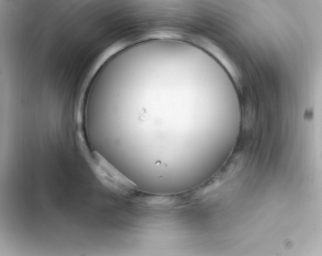 X0000103320861200809192139