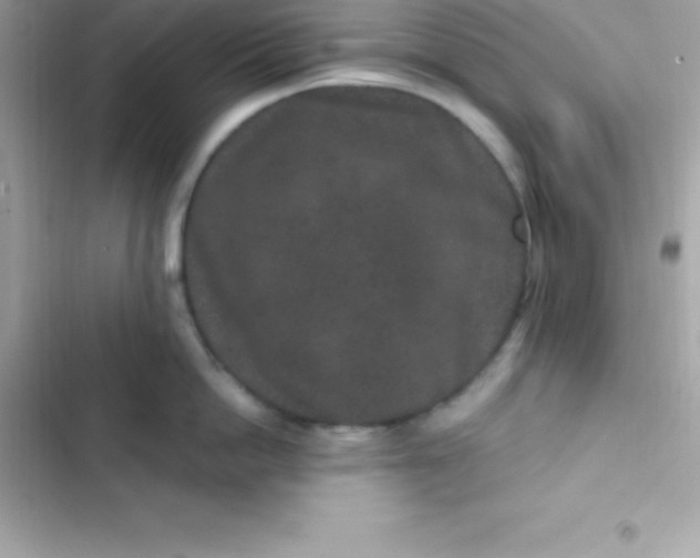 X0000103320862200809192139