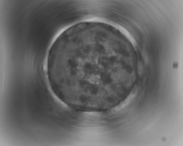 X0000103320863200809192139