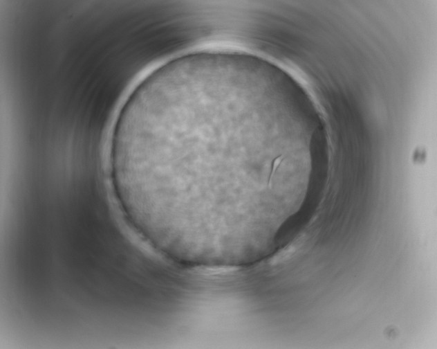 X0000103320864200809192139