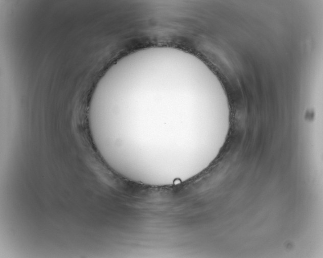 X0000103320865200809192138