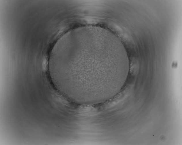 X0000103320866200809192138