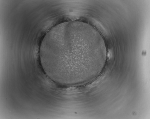 X0000103320867200809192138