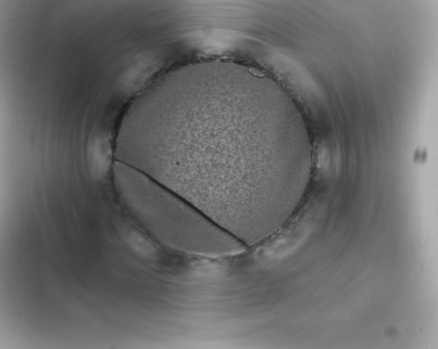 X0000103320868200809192138