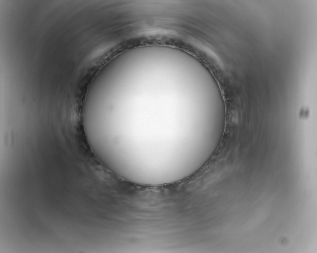 X0000103320869200809192138