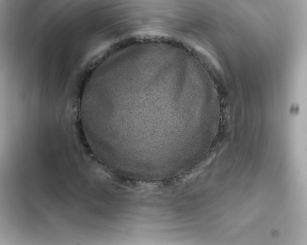 X0000103320870200809192138