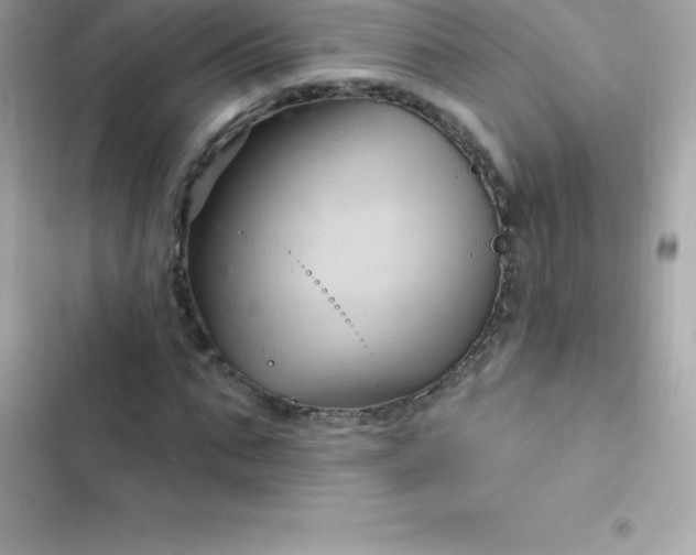 X0000103320871200809192138