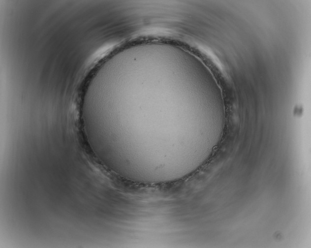 X0000103320872200809192138