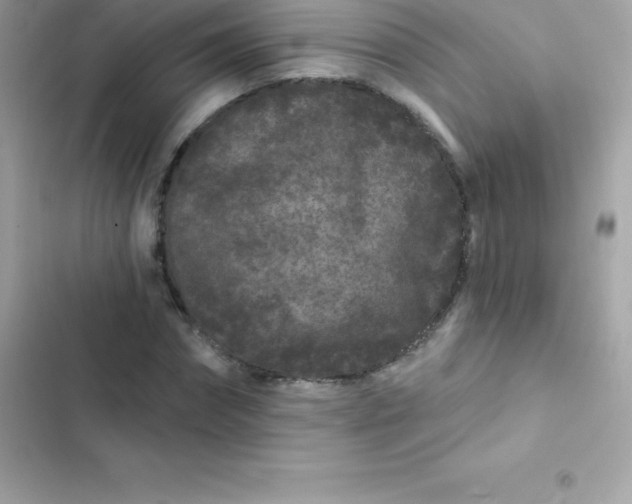 X0000103320874200809192138