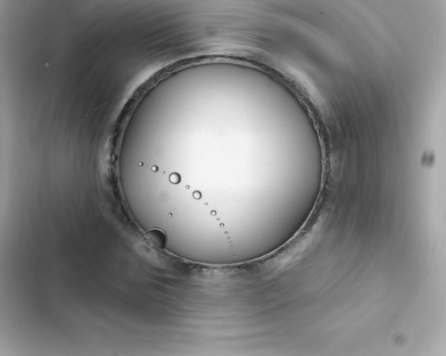 X0000103320875200809192138