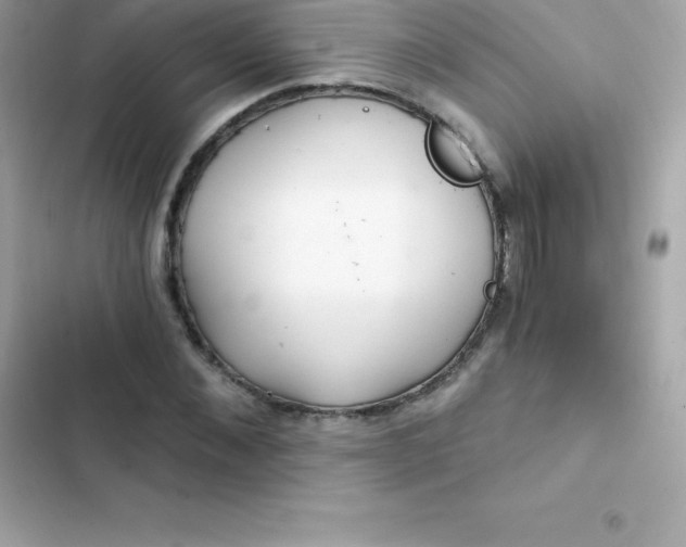 X0000103320876200809192138