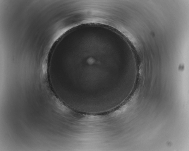 X0000103320877200809192138