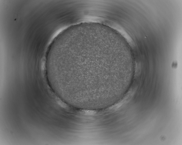 X0000103320878200809192138