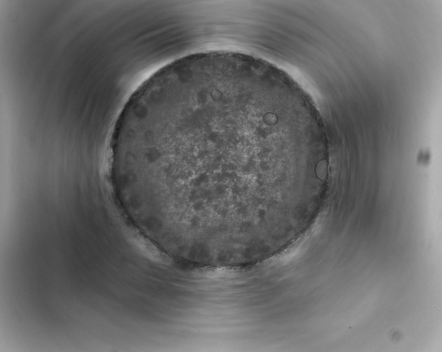 X0000103320879200809192138