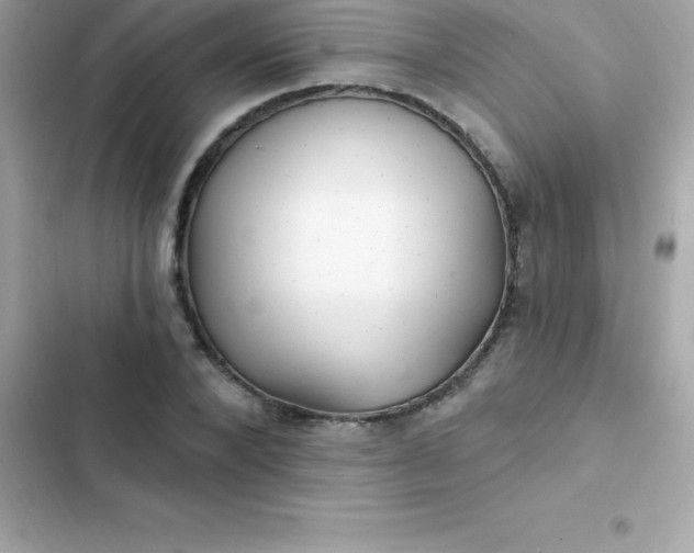 X0000103320880200809192138