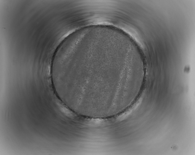 X0000103320881200809192138