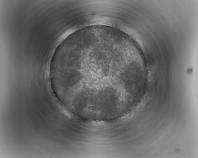 X0000103320882200809192138