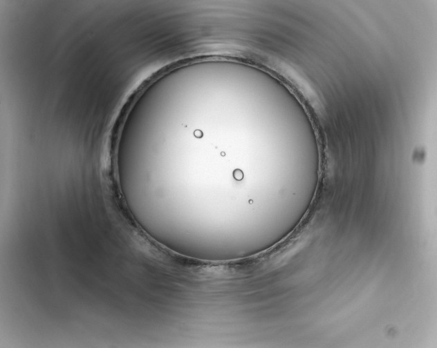 X0000103320883200809192138