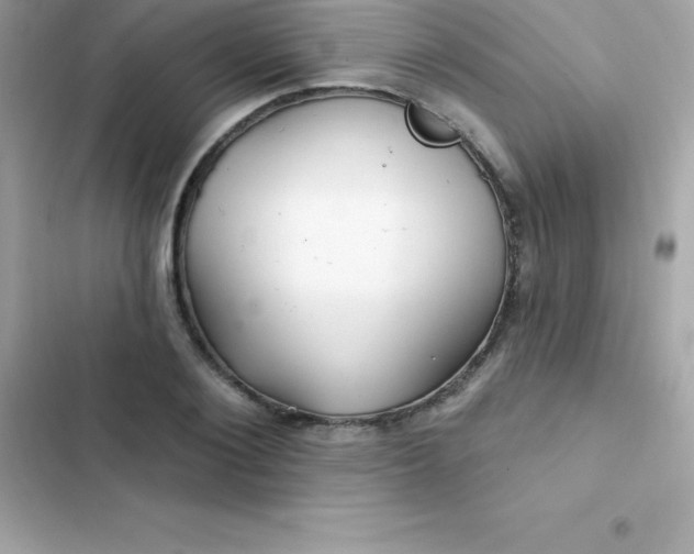 X0000103320884200809192138