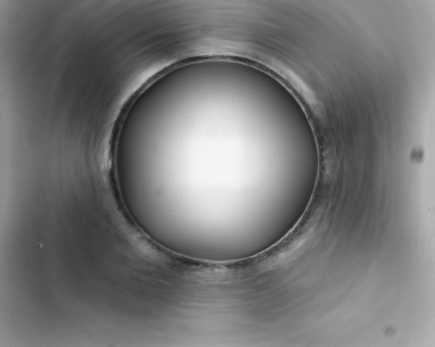 X0000103320885200809192138