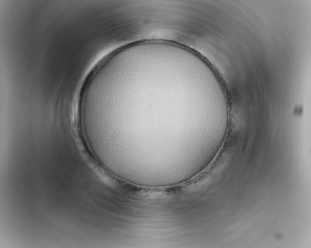 X0000103320886200809192137