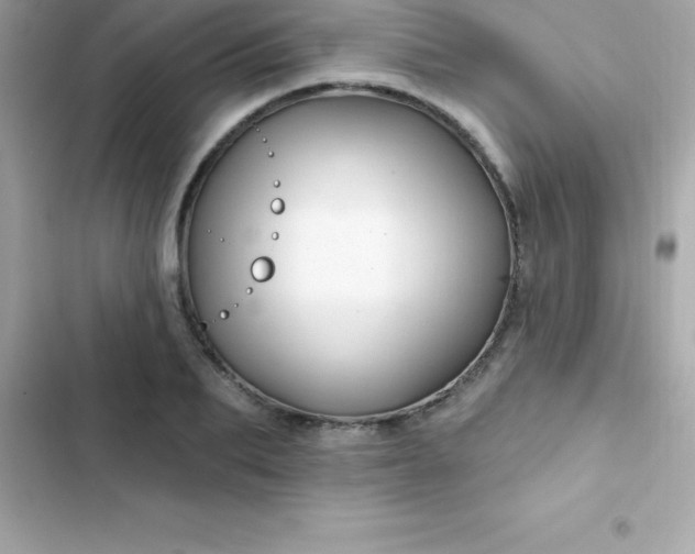 X0000103320887200809192137