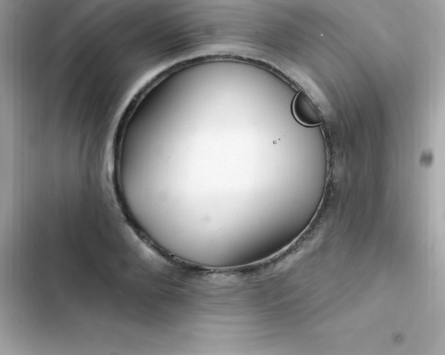 X0000103320888200809192137